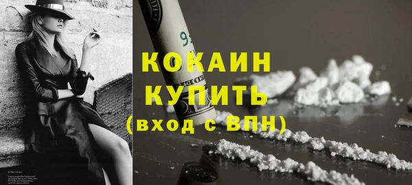 прущий лед Алзамай