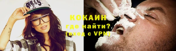 прущий лед Алзамай