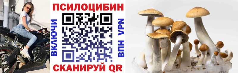 ОМГ ОМГ ТОР  Алексеевка  Галлюциногенные грибы GOLDEN TEACHER 
